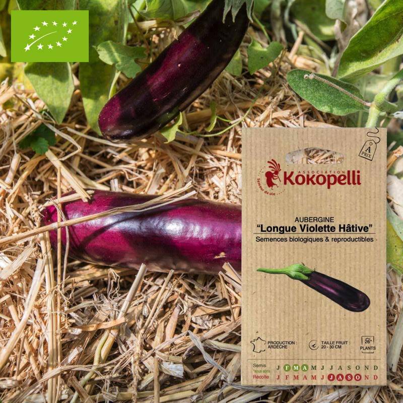 Aubergine Longue Violette Hâtive- Graines bio à semer - Image 1