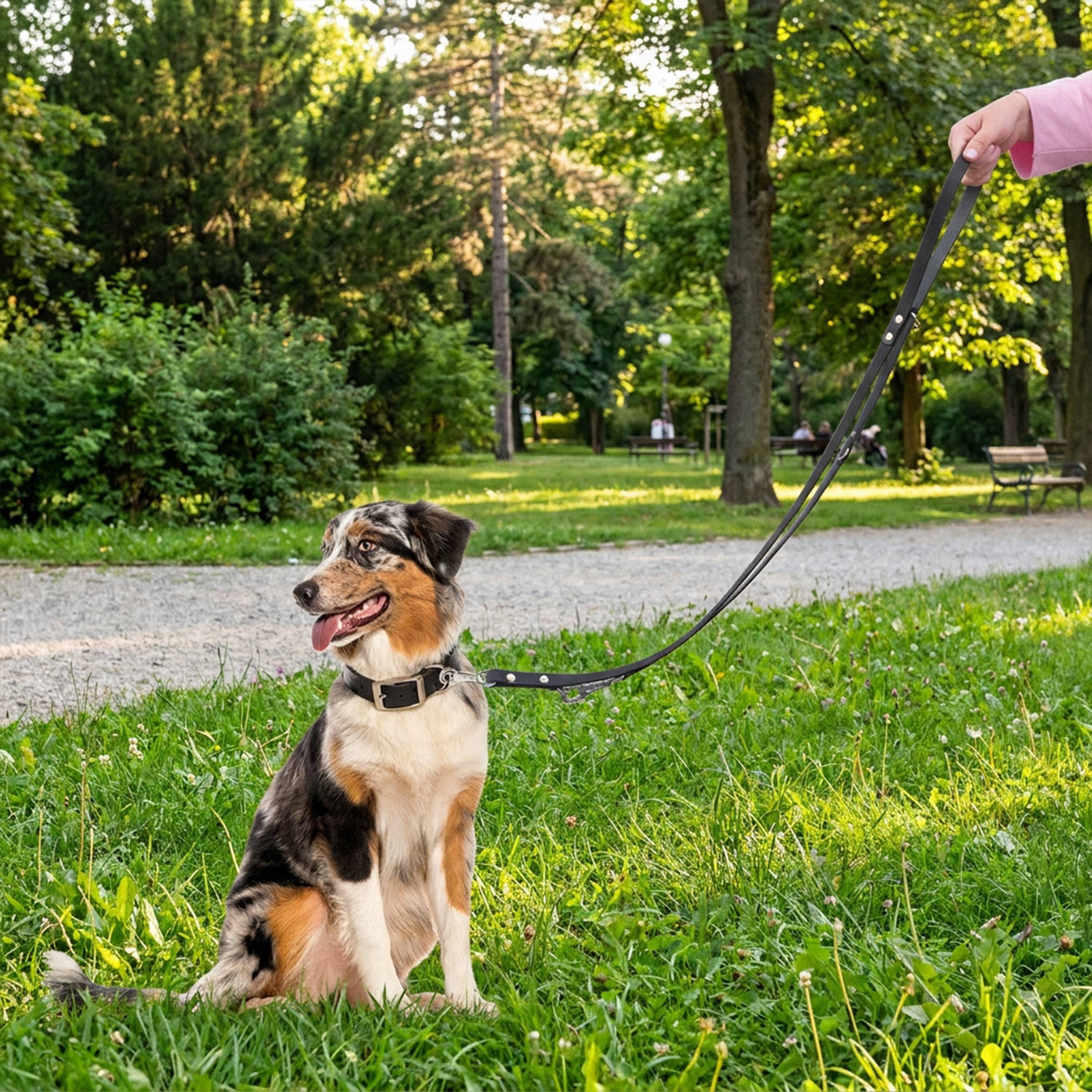 Ferplast - Laisse de dressage chien chiens en cuir noir ou naturel FERPLAST - Imagen 3