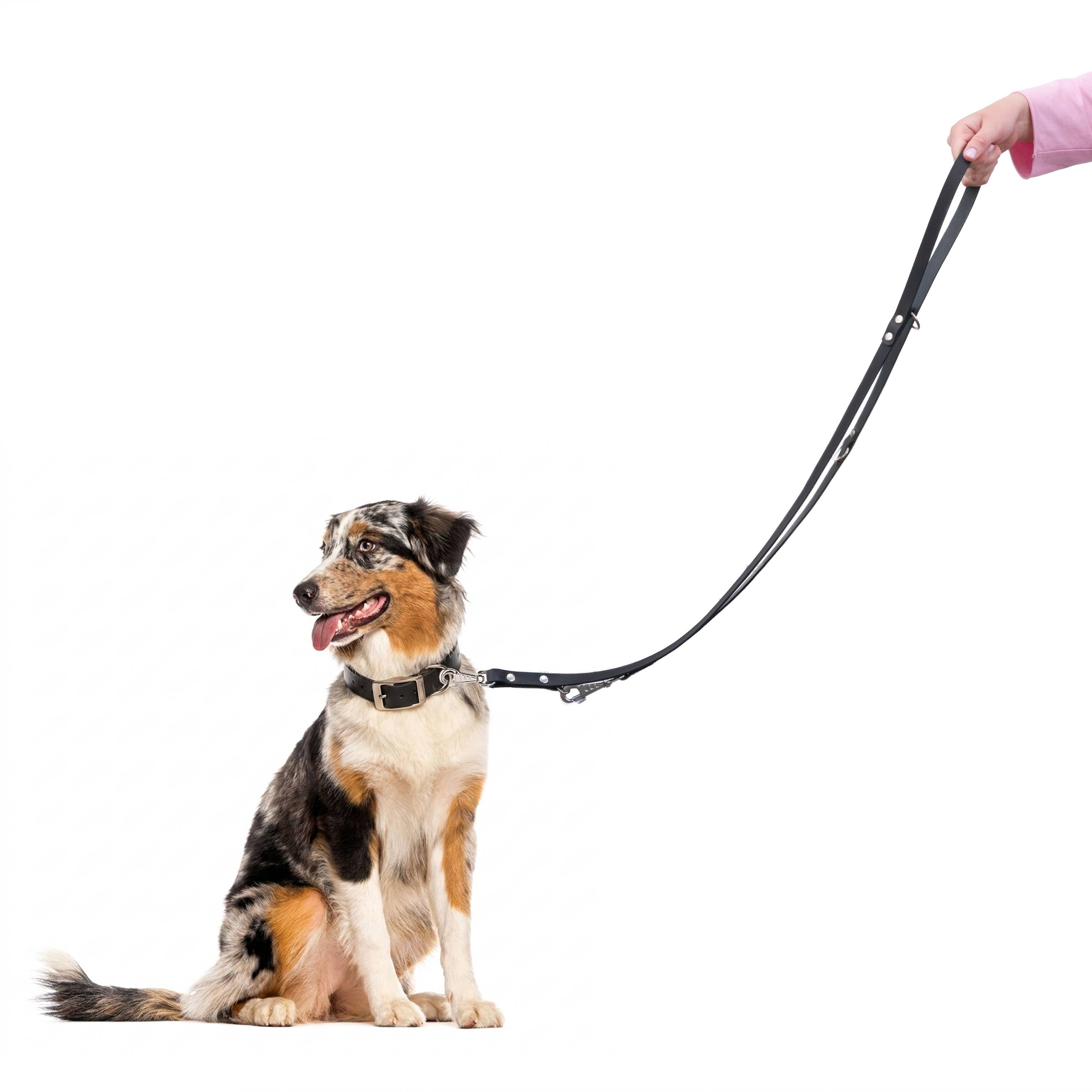 Ferplast - Laisse de dressage chien chiens en cuir noir ou naturel FERPLAST - Imagen 4