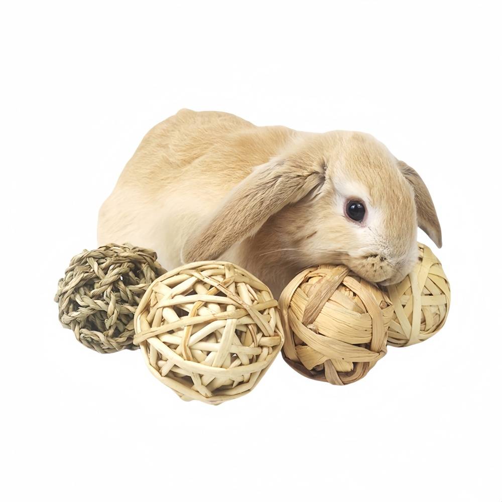 IntiMeg - lot de 4 Balles d'herbe pour rongeurs IntiMeg