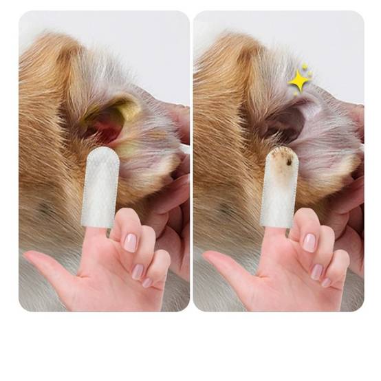 IntiMeg - Lingettes pour nettoyer les oreilles des chats IntiMeg - Image 4
