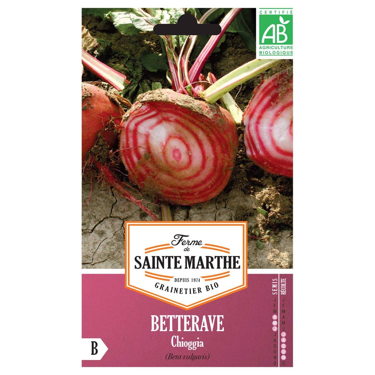 Betterave Chioggia Bio - Ferme de Sainte Marthe le sachet de 300 graines environ (4.5g)