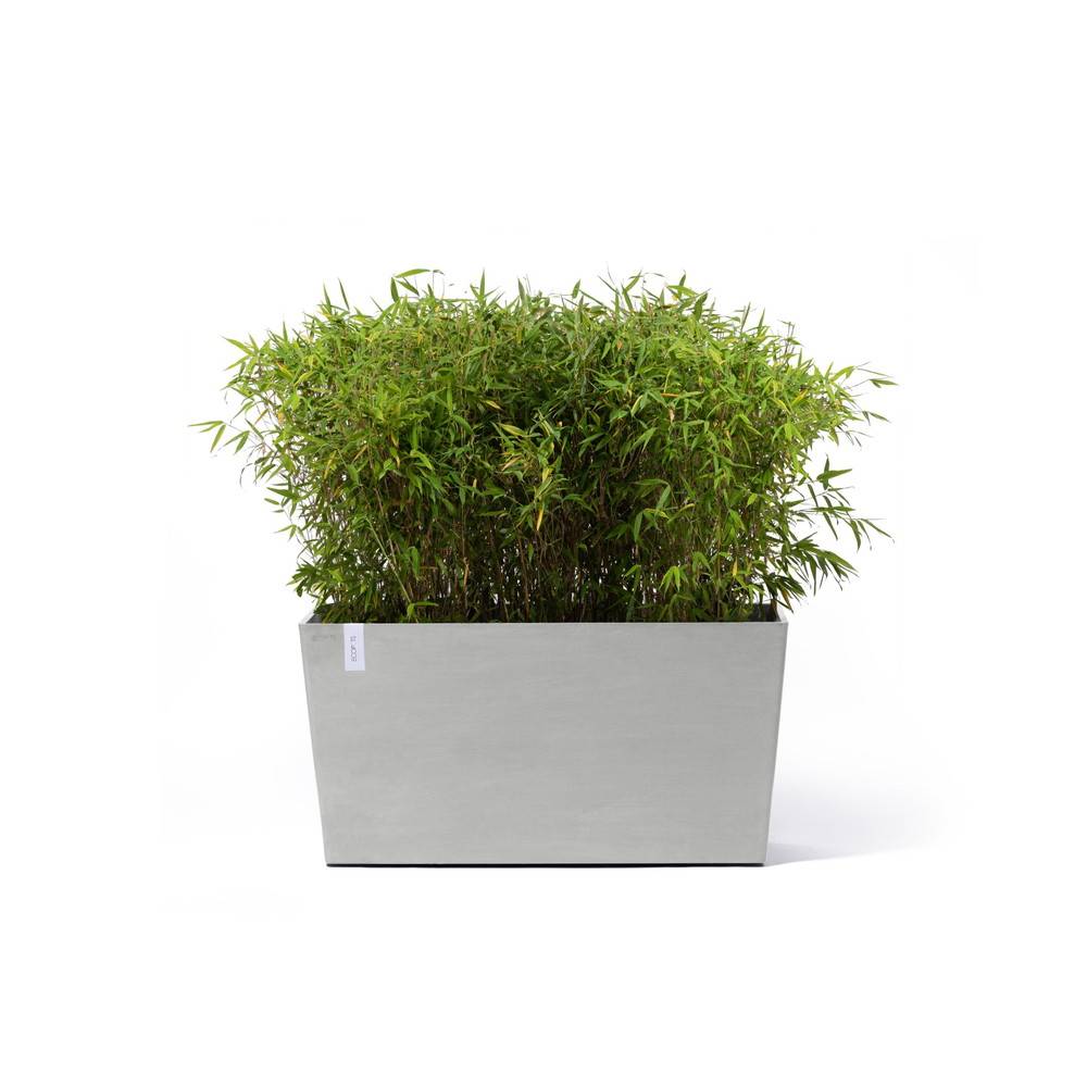 Ecopots - Jardinière sur roues Paris 100 Blanc Gris - 100 x 40 x H. 50 cm - 137 L ECOPOTS - Imagen 1
