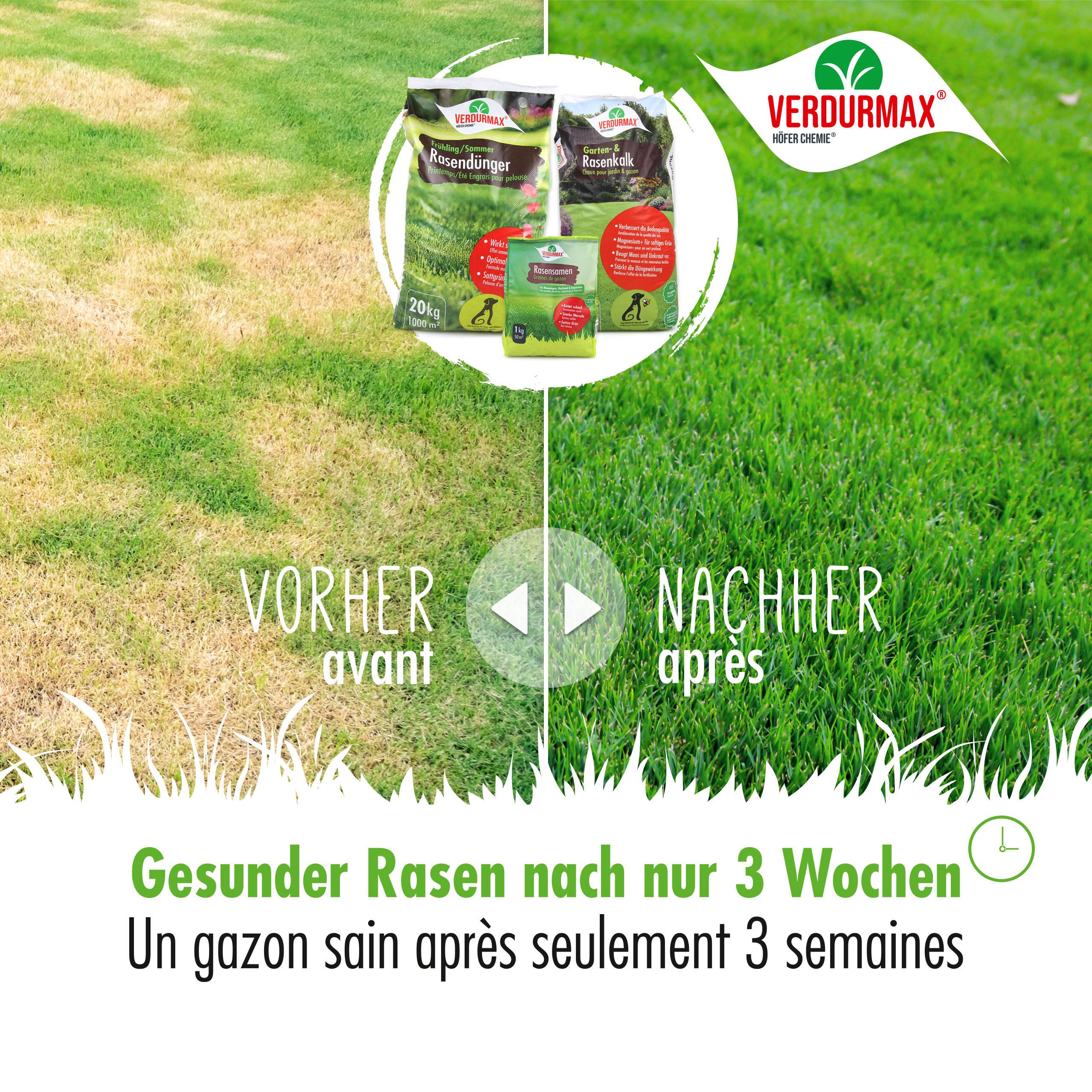Kit de démarrage printemps VERDURMAX® – pour 500 m² de surface de gazon x 1 - Image 4