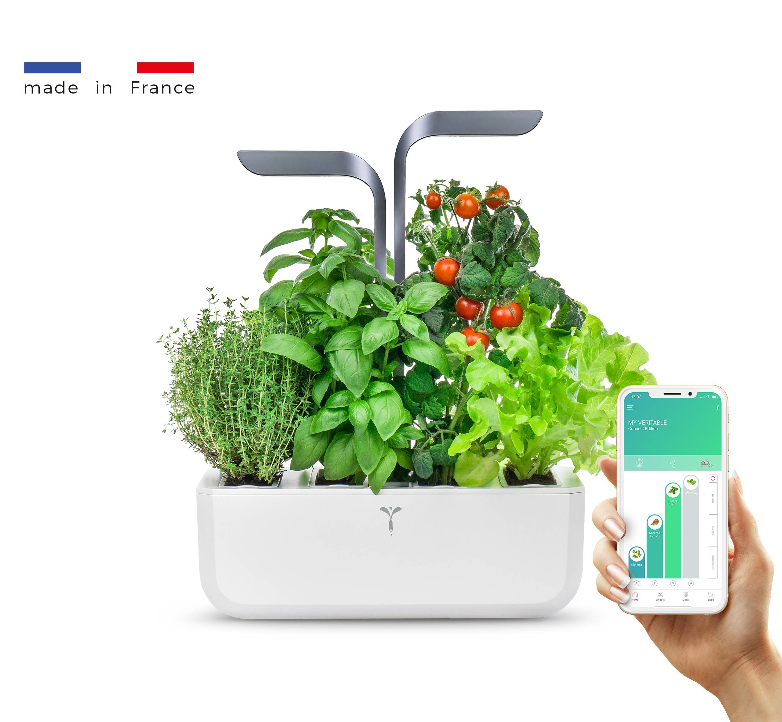 Veritable - Potager d'intérieur Autonome Véritable CONNECT Infinity Grey - Livré avec 4 Lingots - Véritable - Imagen 1