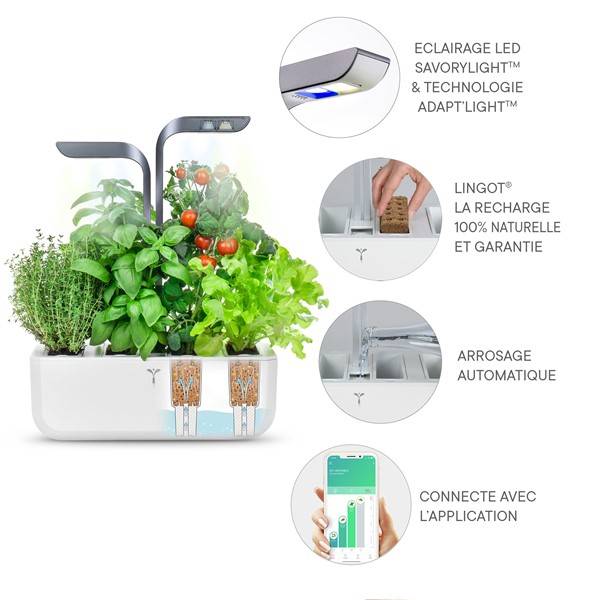 Veritable - Potager d'intérieur Autonome Véritable CONNECT Infinity Grey - Livré avec 4 Lingots - Véritable - Imagen 5