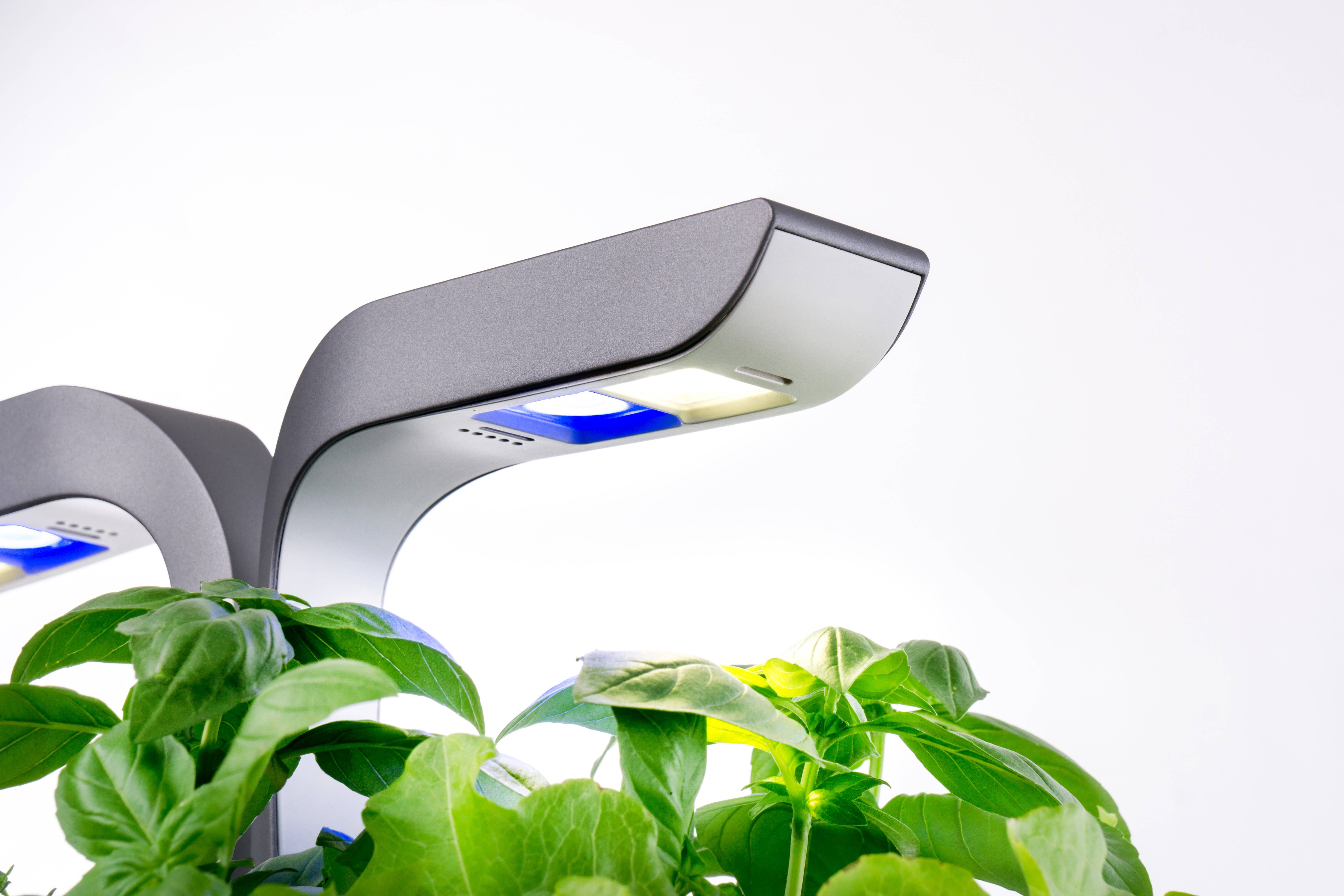Veritable - Potager d'intérieur Autonome Véritable CONNECT Infinity Grey - Livré avec 4 Lingots - Véritable - Imagen 3