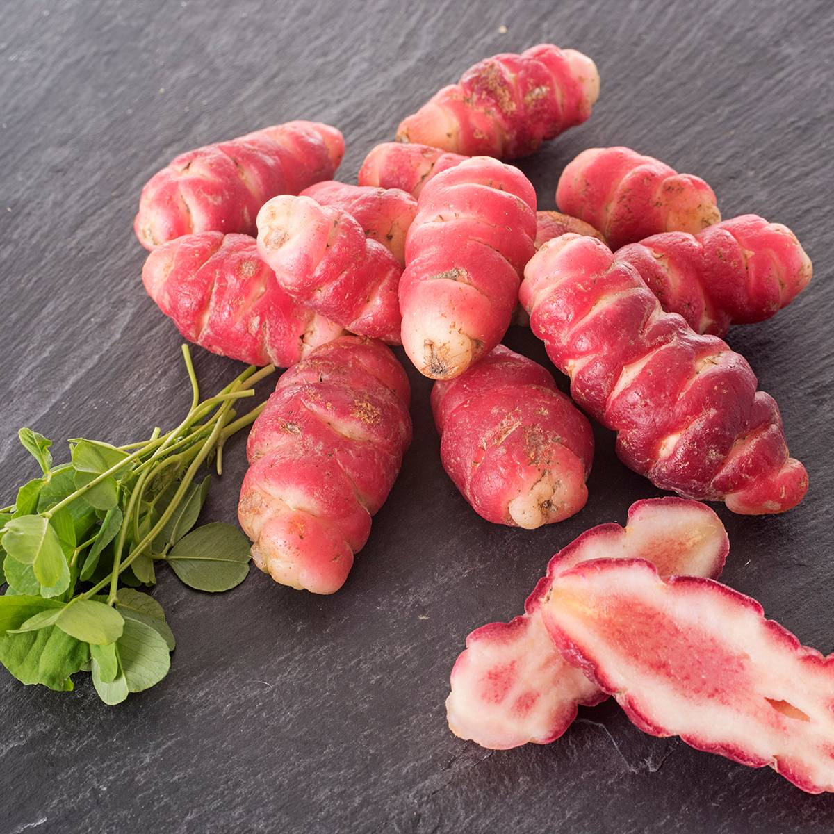 Oca du Pérou - truffette acide Godet de 8/9 cm