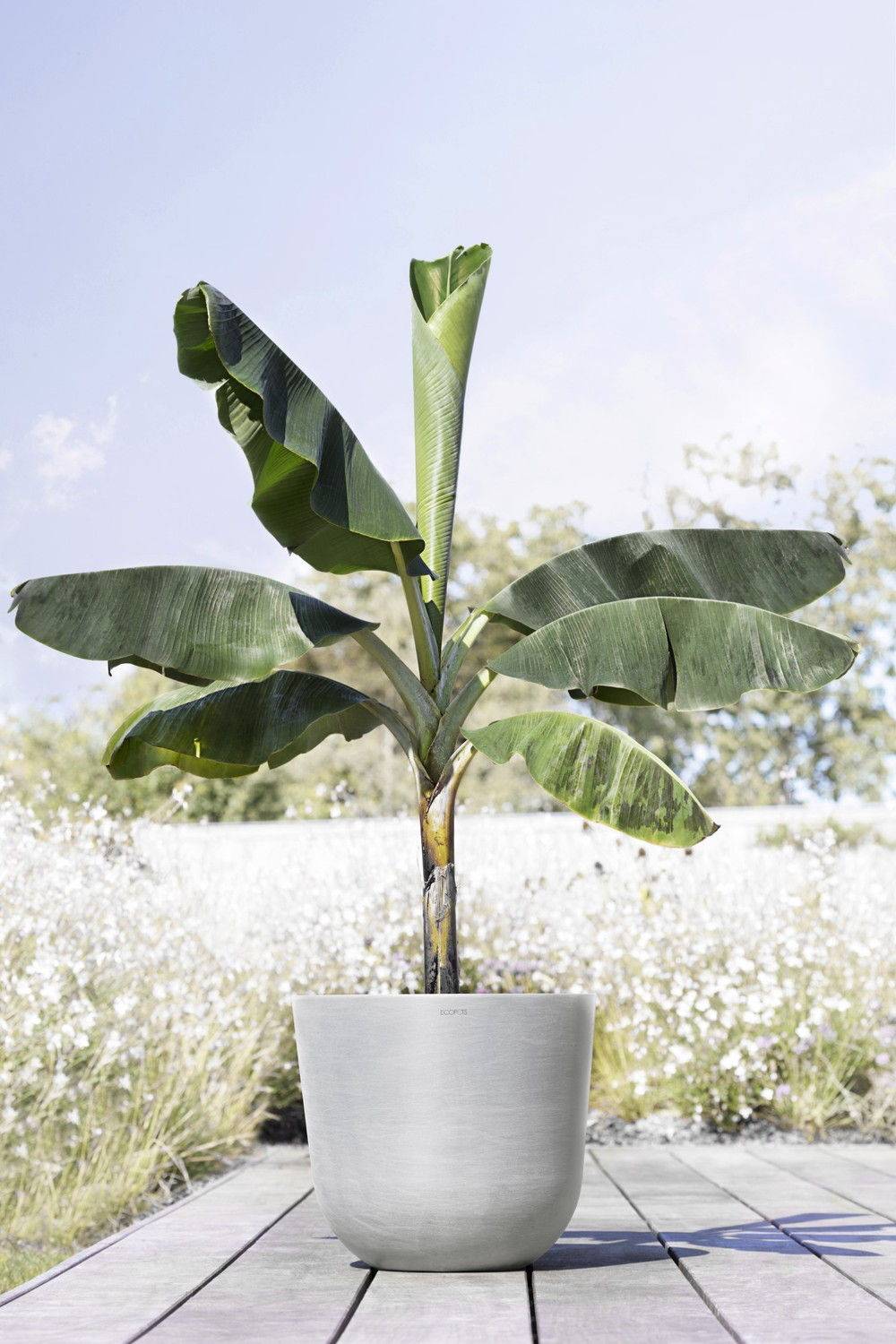 Ecopots - Pot Rond Oslo 45 Blanc Gris - Ø 45 x H. 39,2 cm - 46,6 L ECOPOTS - Imagen 4