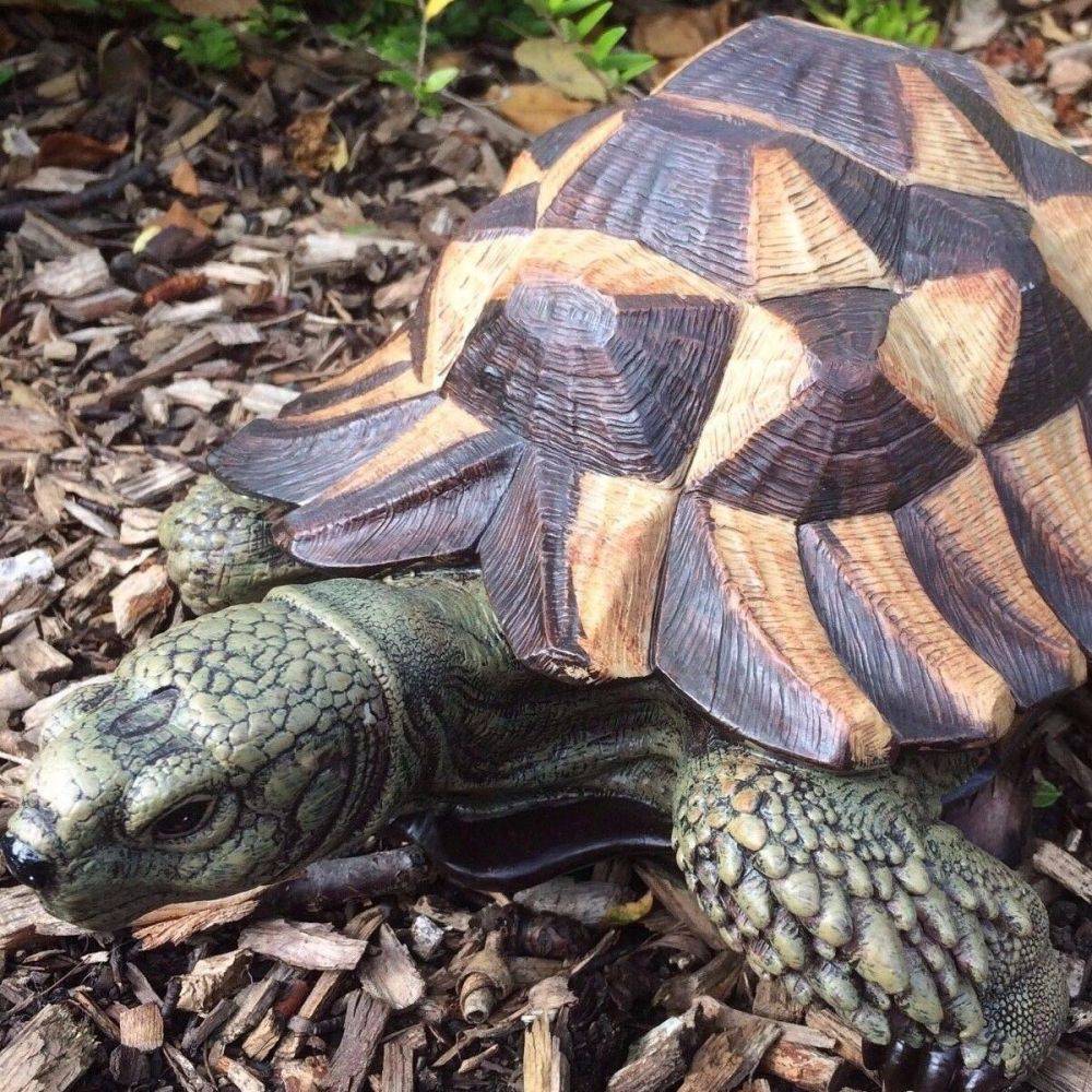 Vivid Arts - Tortue en résine 32 cm - Imagen 4