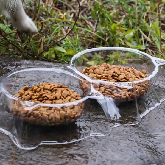 Gamelles jetables anti - fourmis pour chien et chat DtopbuyAge - Image 4
