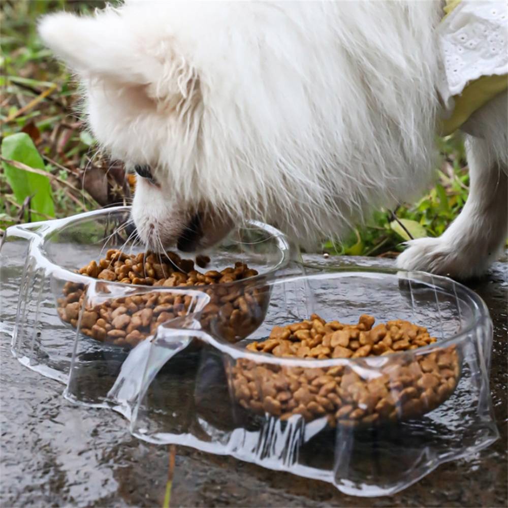 Gamelles jetables anti - fourmis pour chien et chat DtopbuyAge - Image 2