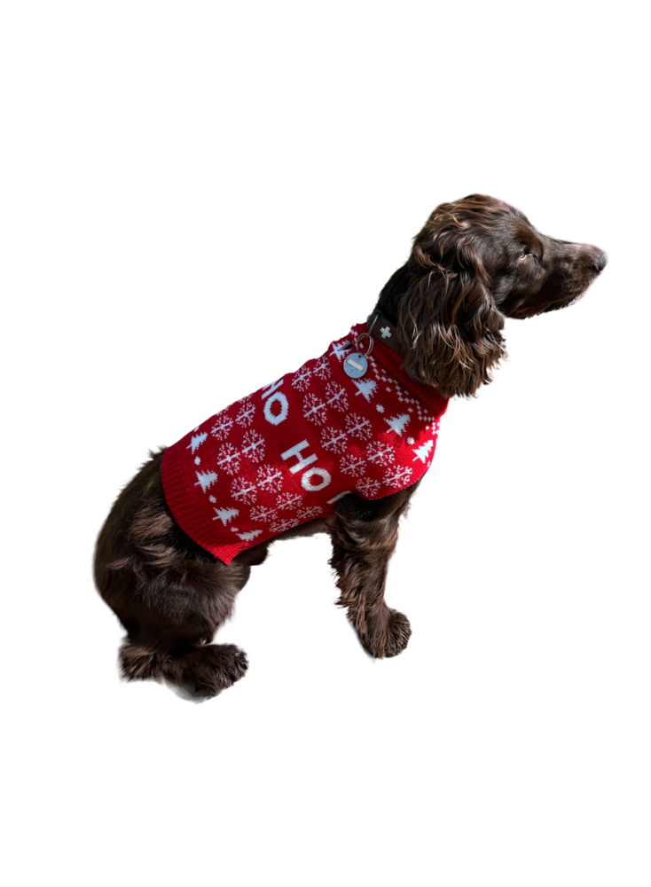 Pull noel noir-pour chien- deguisement tricote - festif taille S - Mon Ami Luki - Image 5
