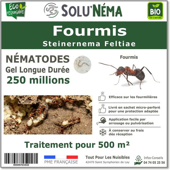 Tout pour les nuisibles - Solunéma - Fourmis - Traitement à base de Nématodes Steinernema feltiae (SF) - 250 millions traitement pour 500m² - Image 1