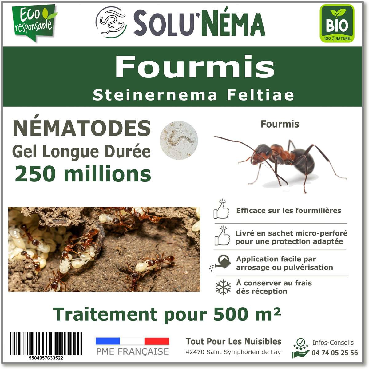 Tout pour les nuisibles - Solunéma - Fourmis - Traitement à base de Nématodes Steinernema feltiae (SF) - 250 millions traitement pour 500m² - Image 1