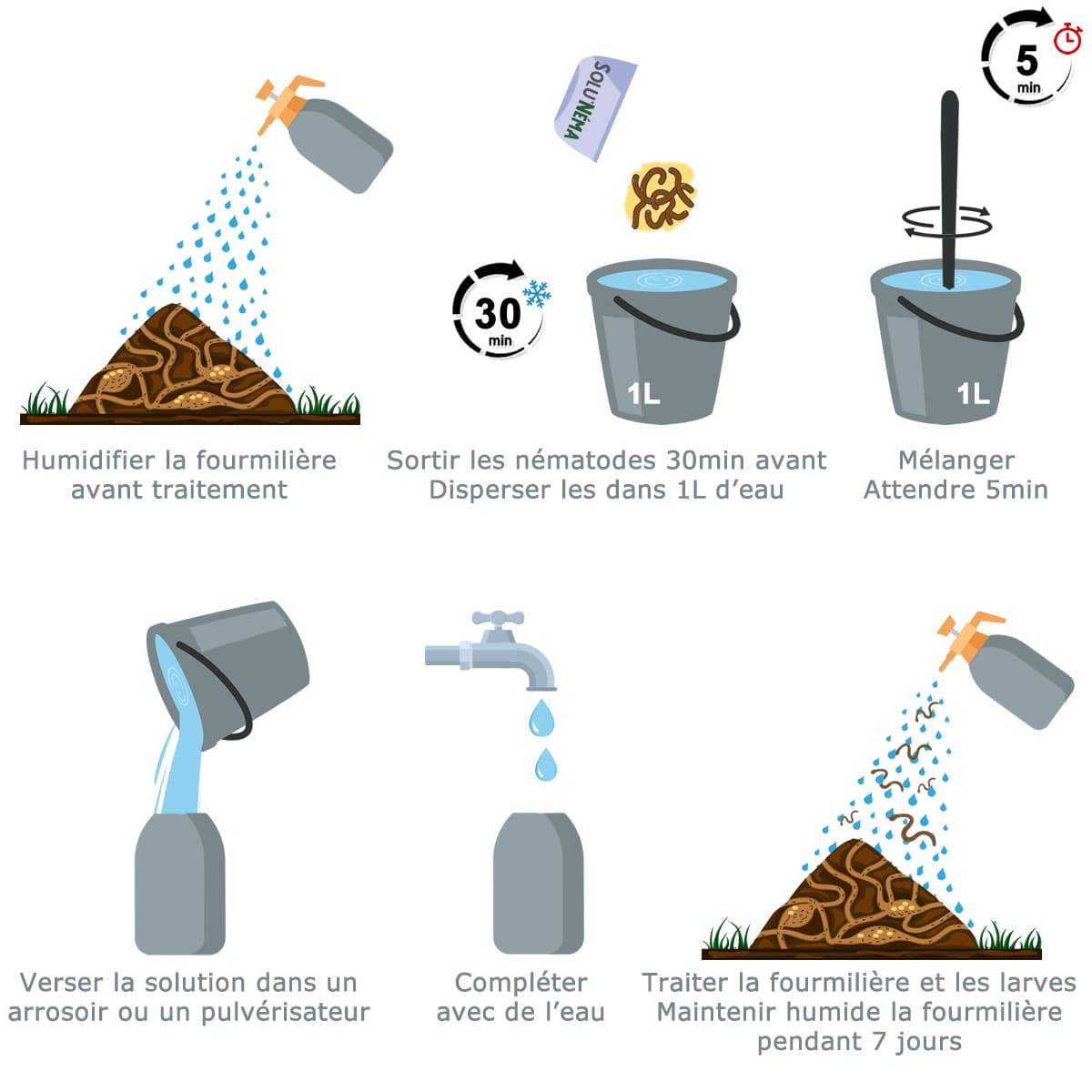 Tout pour les nuisibles - Solunéma - Fourmis - Traitement à base de Nématodes Steinernema feltiae (SF) - 250 millions traitement pour 500m² - Image 2
