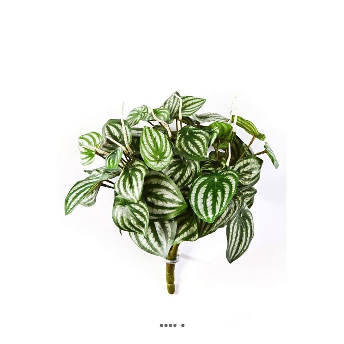 Artificielles - Peperomia artificiel Vert Blanc 30 cm 52 feuilles en piquet - Imagen 2