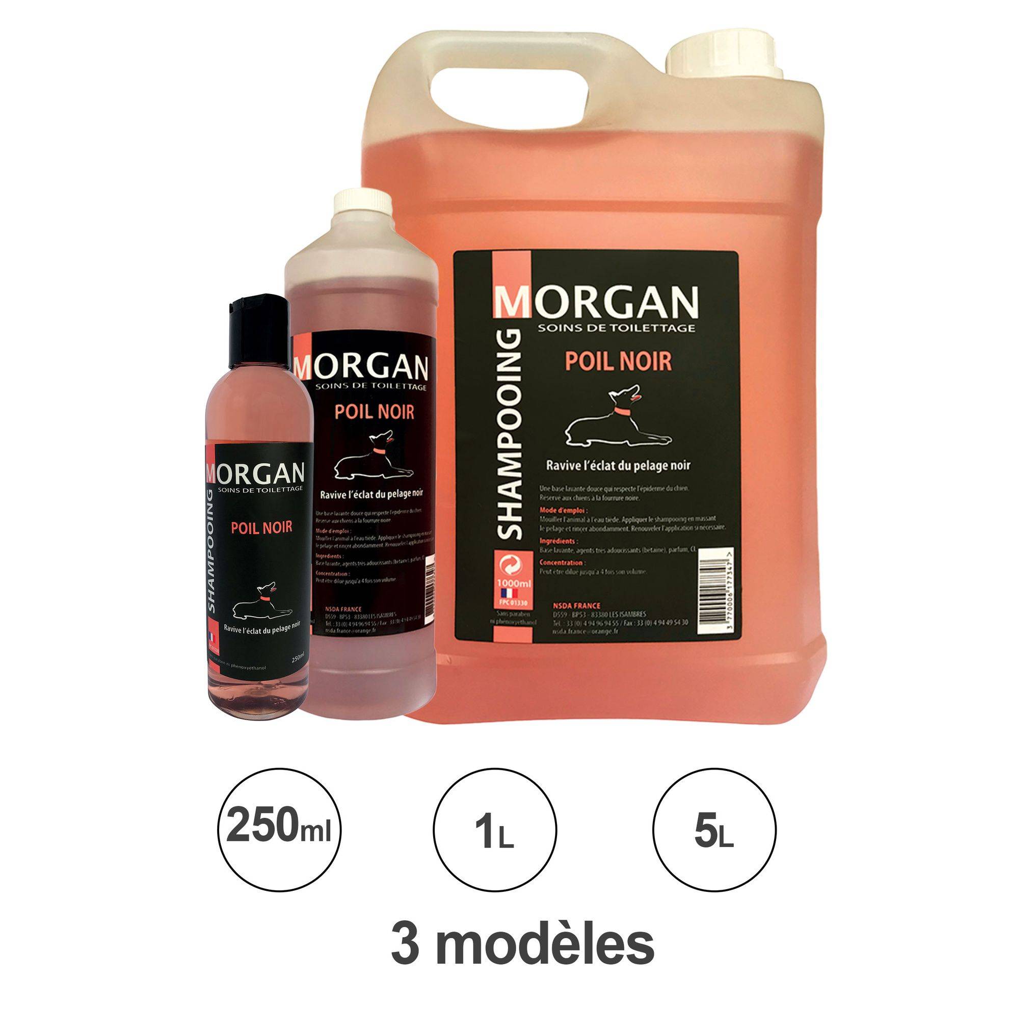 Shampooing poils noirs : 5L MORGAN