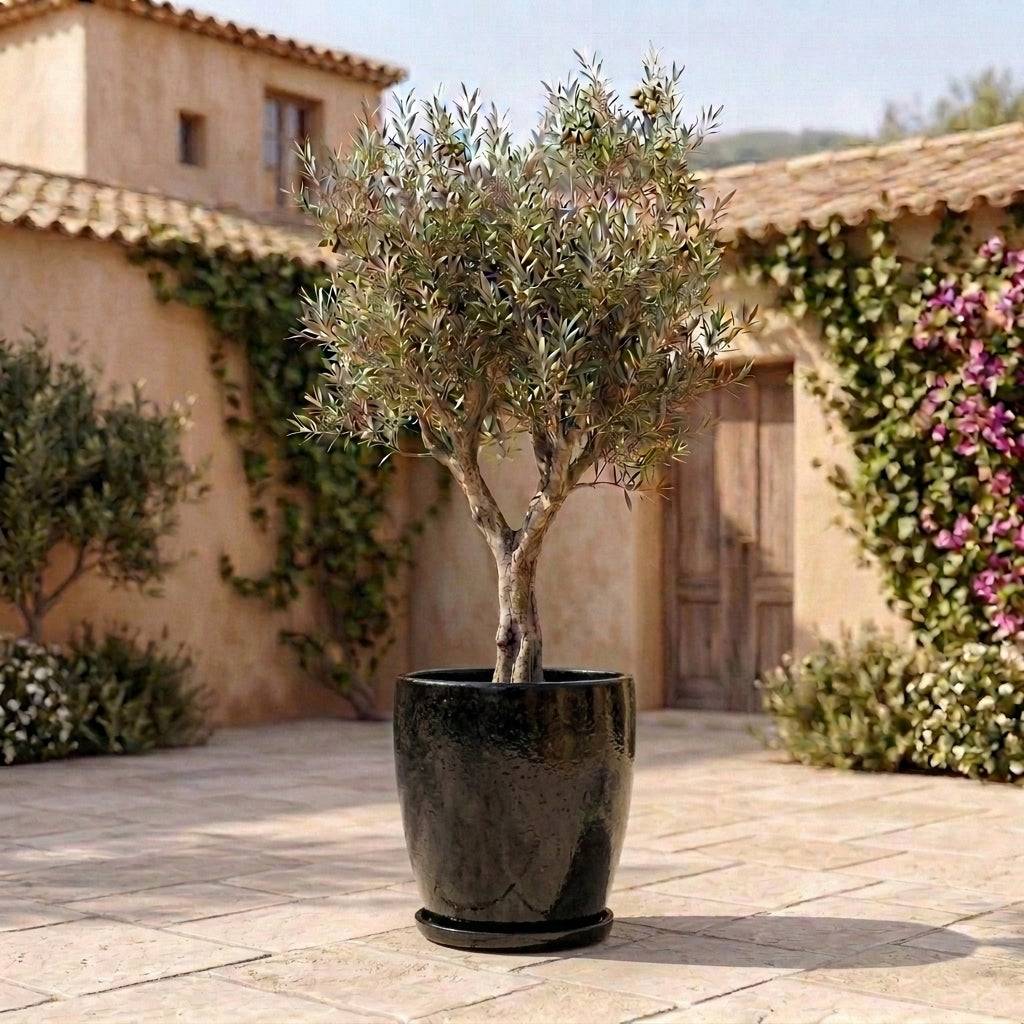 Provencelia - Soucoupe ronde 15cm noir - Image 7