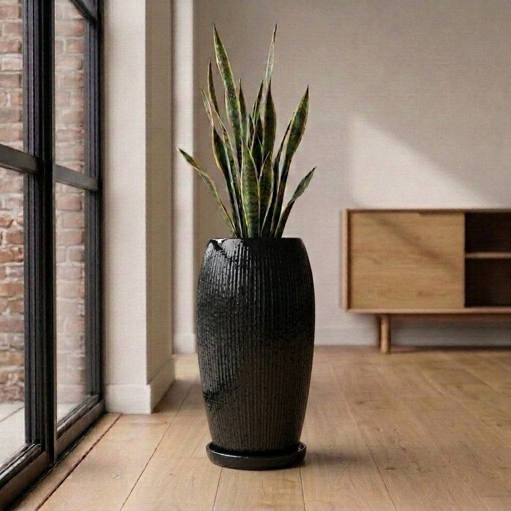 Provencelia - Soucoupe ronde 15cm noir - Image 8