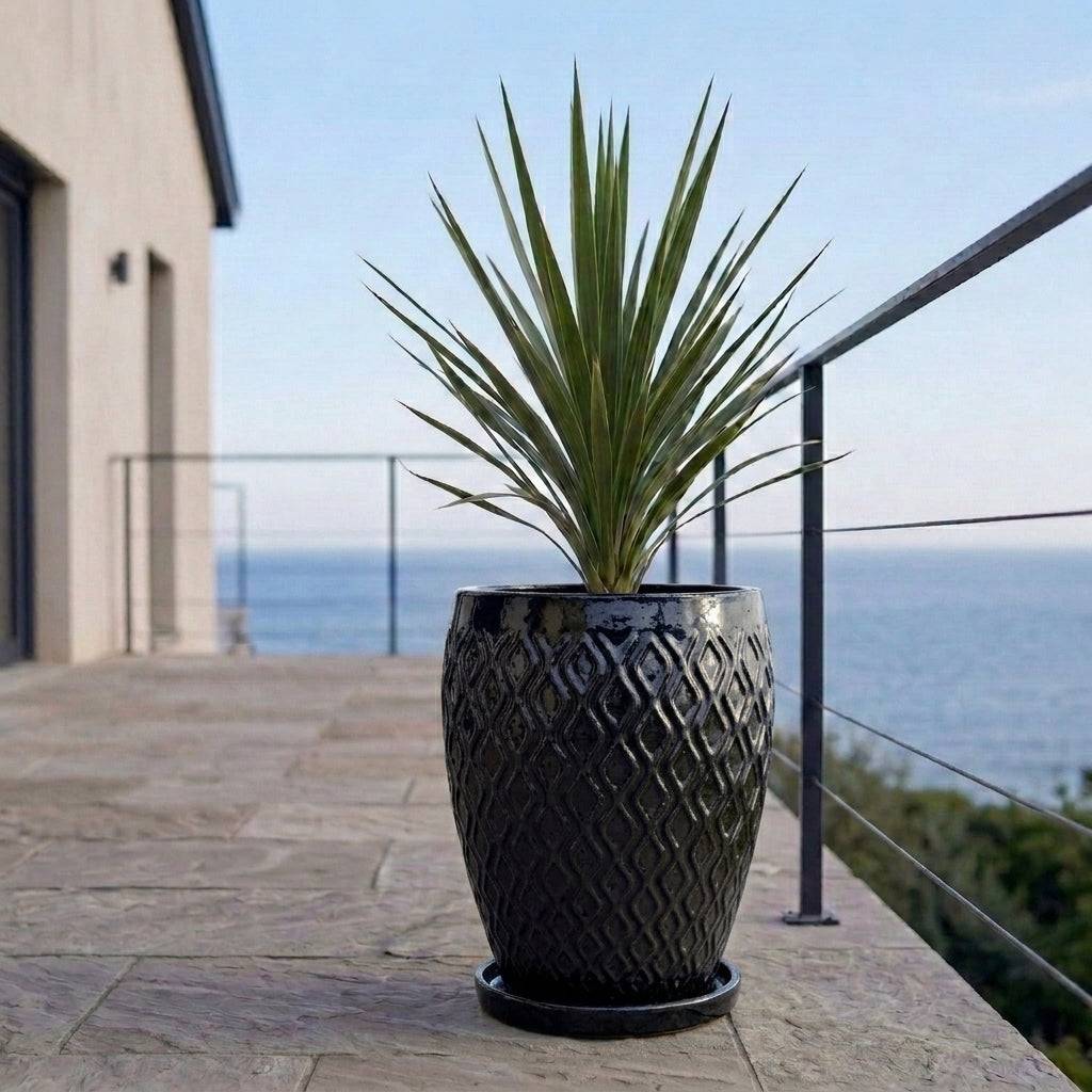 Provencelia - Soucoupe ronde 15cm noir - Image 9