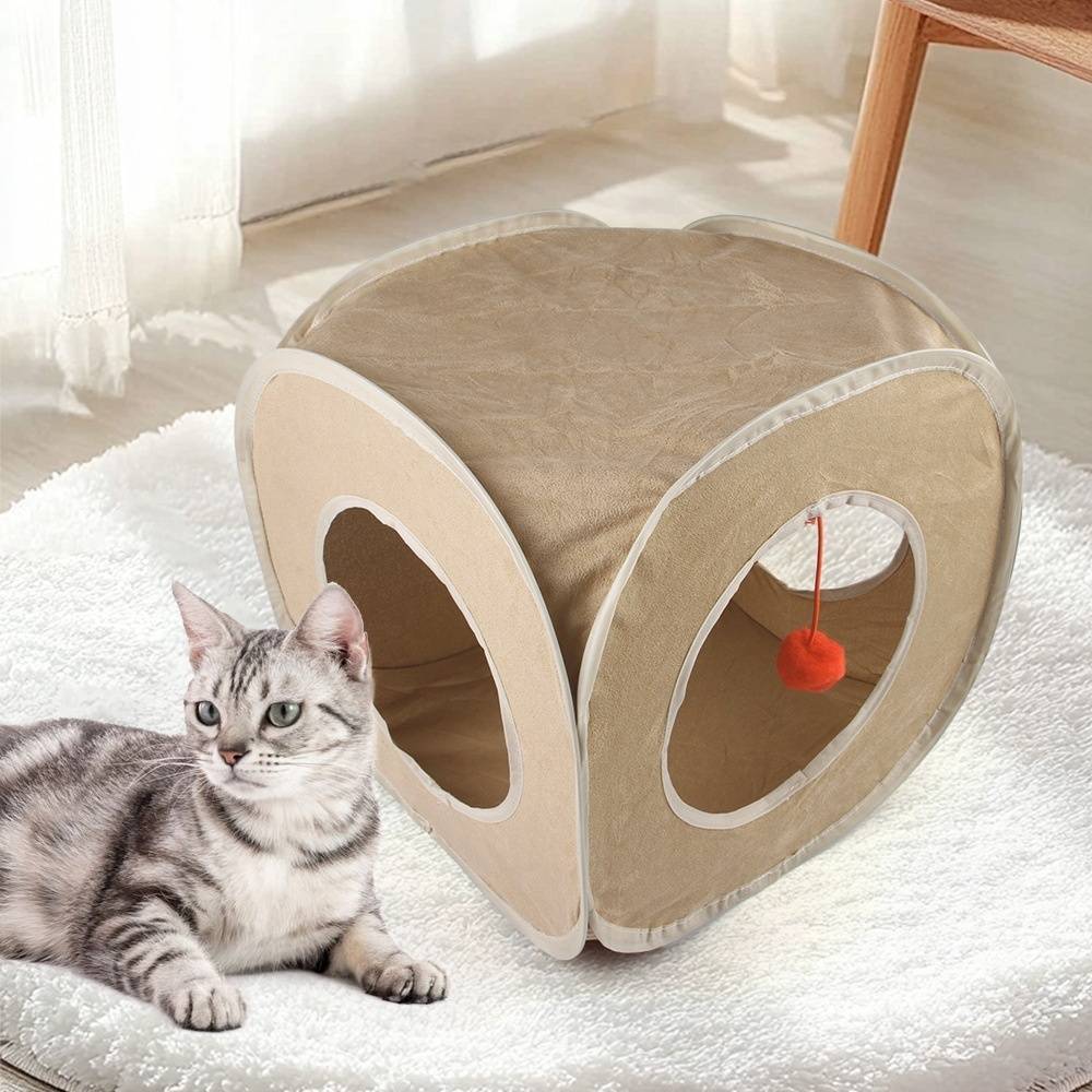 DtopbuyAge - Tunnel carré pour cochon d'Inde, lapin, hamster, hérisson, gerbille DtopbuyAge - Image 3