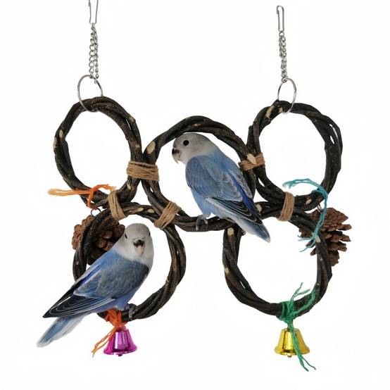 IntiMeg - Jouet de balançoire suspendue pour oiseaux IntiMeg - Image 1