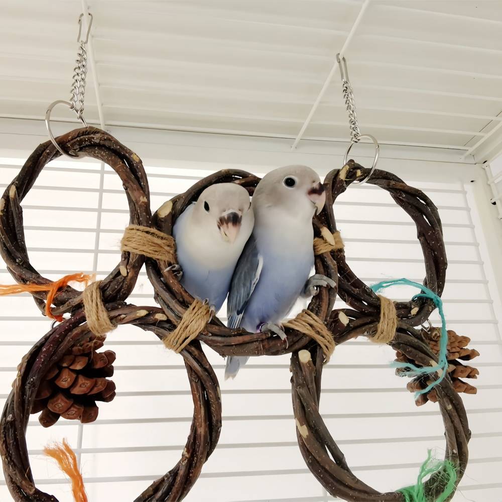 IntiMeg - Jouet de balançoire suspendue pour oiseaux IntiMeg - Image 6