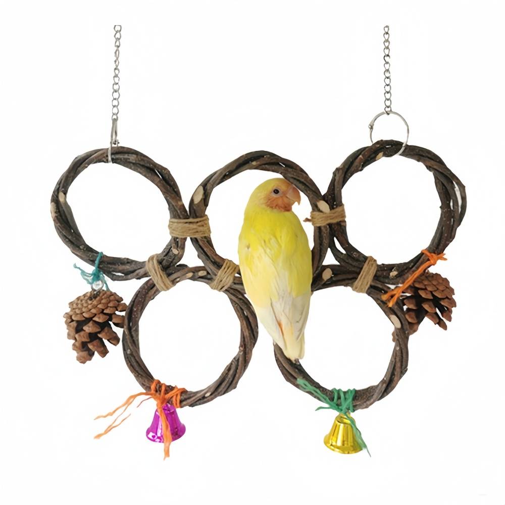 IntiMeg - Jouet de balançoire suspendue pour oiseaux IntiMeg - Image 2