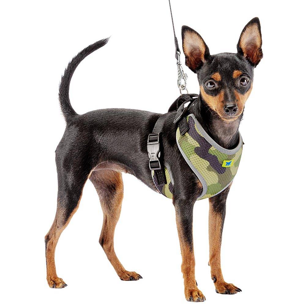 Ferplast - Ferplast Harnais Chien Taille Moyenne NIKITA XS, Harnais pour Chat Respirant, Rembourré et Ajustable, Facile à Porter, Bords Réfléchissants, Poitrine - Imagen 4