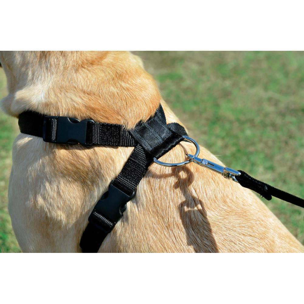 Harnais de sécurité taille XL pour chien en voiture - Image 3