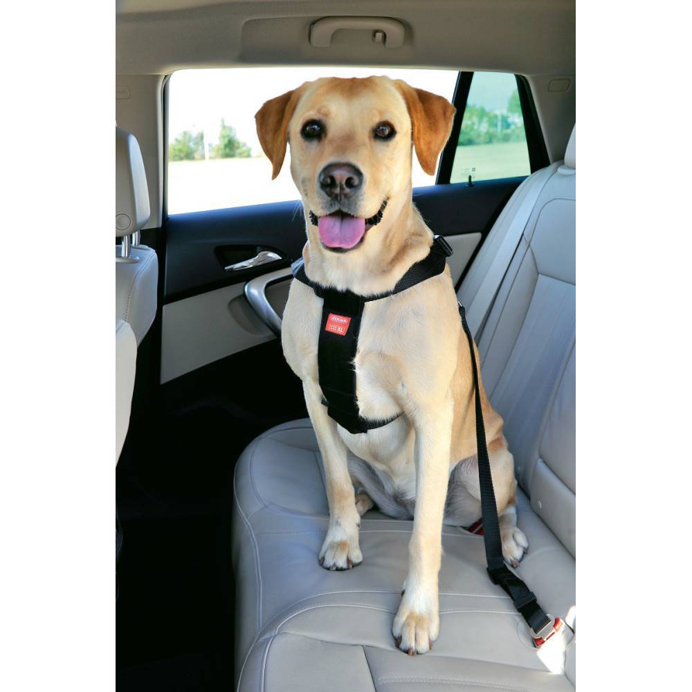 Harnais de sécurité taille XL pour chien en voiture - Image 4