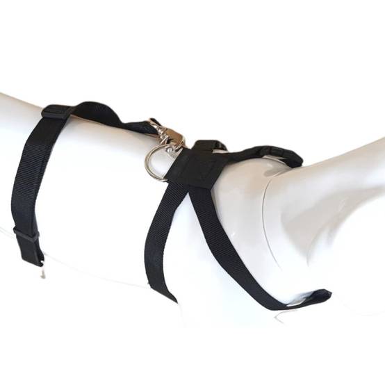 Harnais de sécurité taille XL pour chien en voiture - Image 6