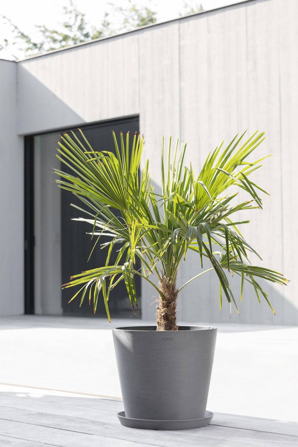Ecopots - Pot Rond Amsterdam 40 Gris - Ø 40 x H. 35 cm - 28 L ECOPOTS - Imagen 4