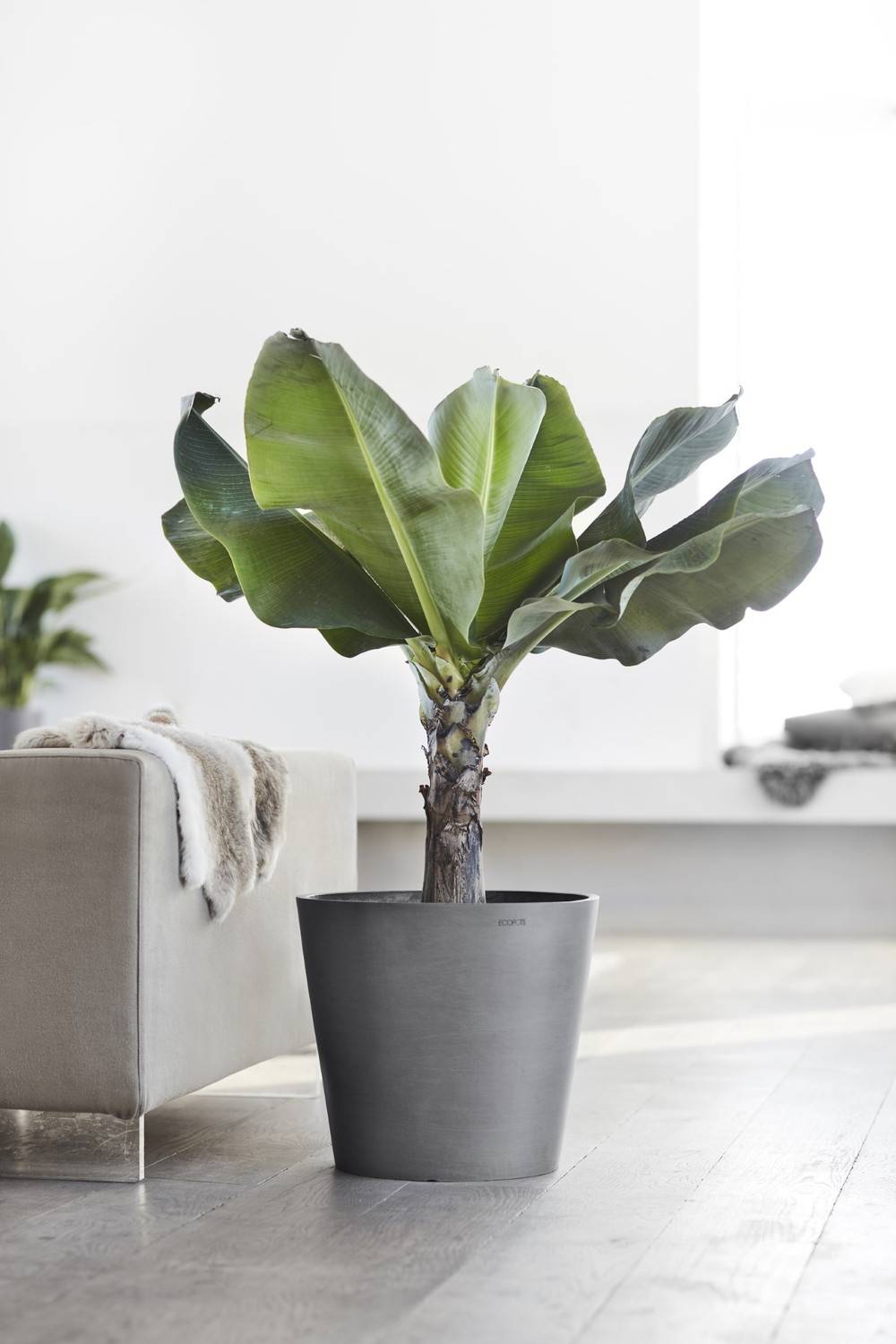 Ecopots - Pot Rond Amsterdam 40 Gris - Ø 40 x H. 35 cm - 28 L ECOPOTS - Imagen 5