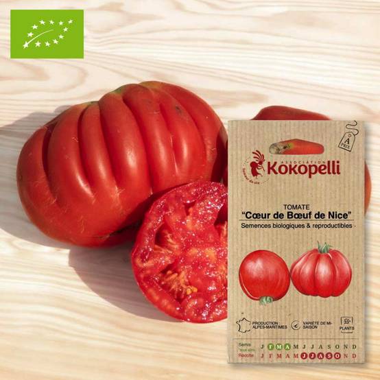 Tomate Cœur de Bœuf de Nice- Graines bio à semer - Image 1