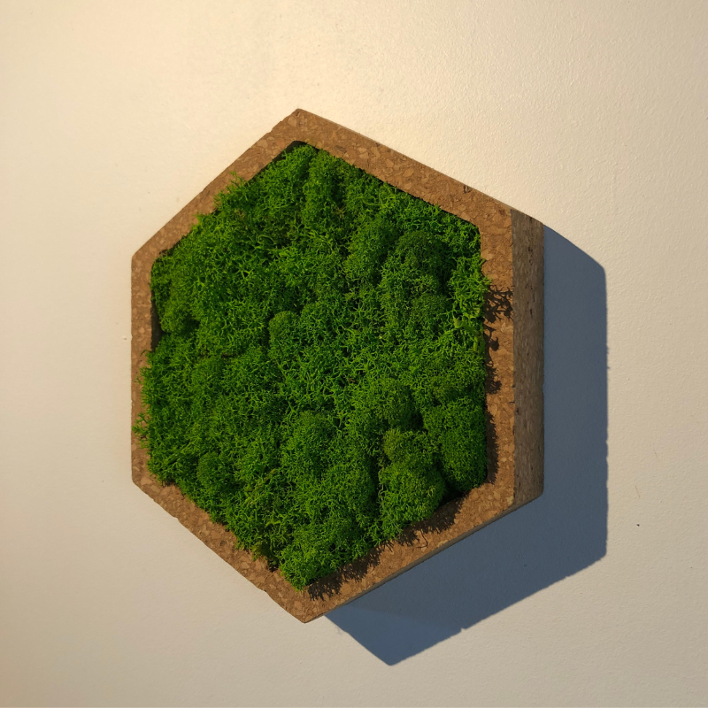 Naturalys - Tableau végétal mural stabilisé 16cm Vert - Naturalys - Imagen 3