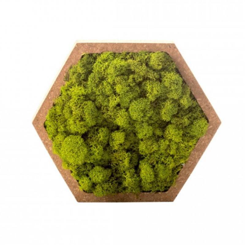 Naturalys - Tableau végétal mural stabilisé 16cm Vert - Naturalys - Imagen 1