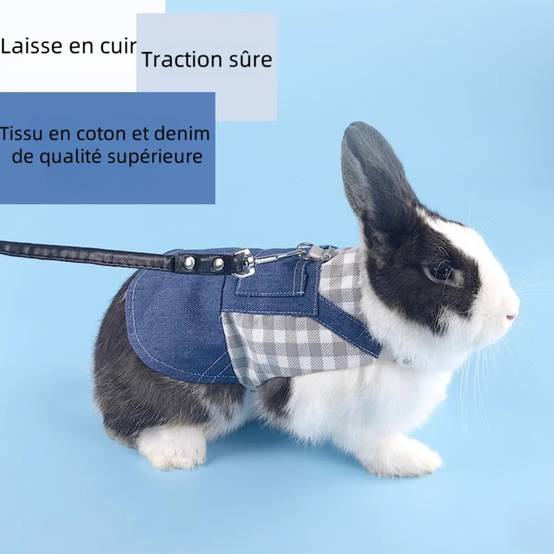 Harnais pour lapin et chat s - IntiMeg - Image 3