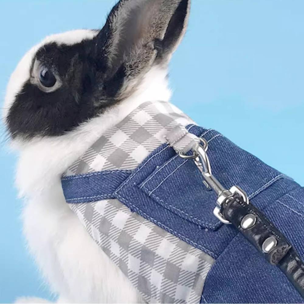 Harnais pour lapin et chat s - IntiMeg - Image 5