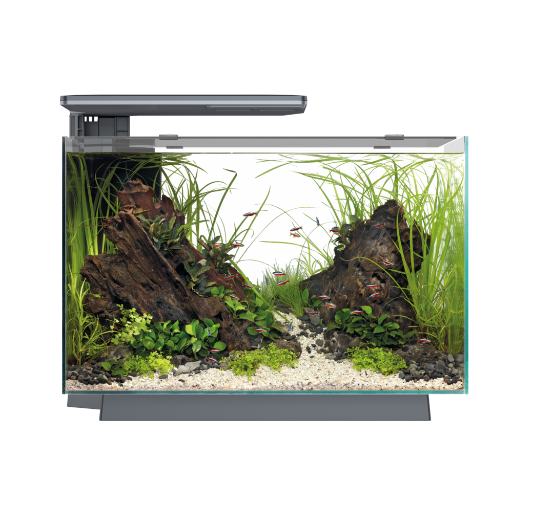 Superfish - Aquarium Quadro 70 Pro Verre Noir 55 x 35 x 45,7 cm - SUPERFISH
