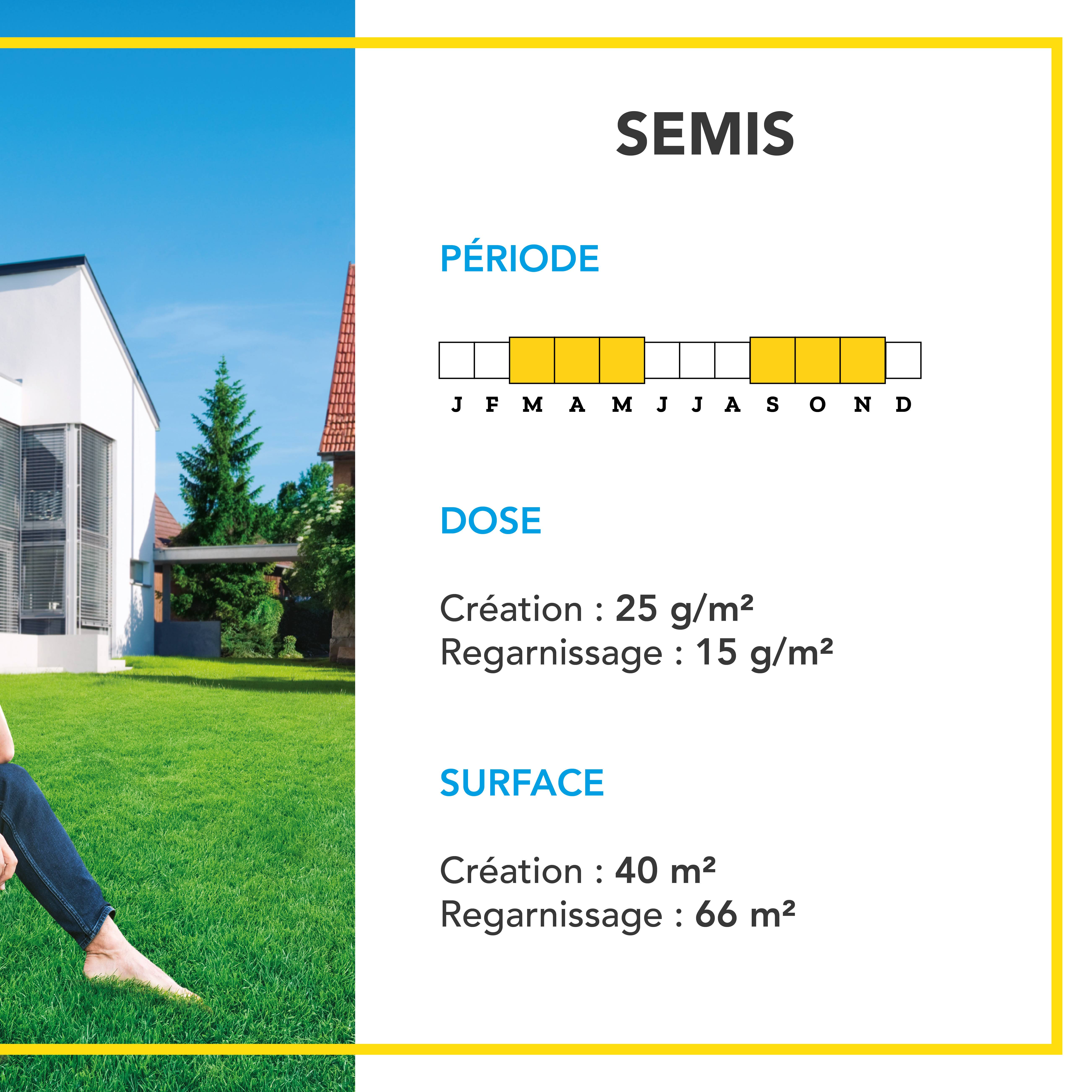Gazon Anglais et Ultra dense - Aspect Prestigieux Parcs Anglais - Tapis Dense Effet velours - Densité Extrême - 1KG - BARENBRUG - Image 4