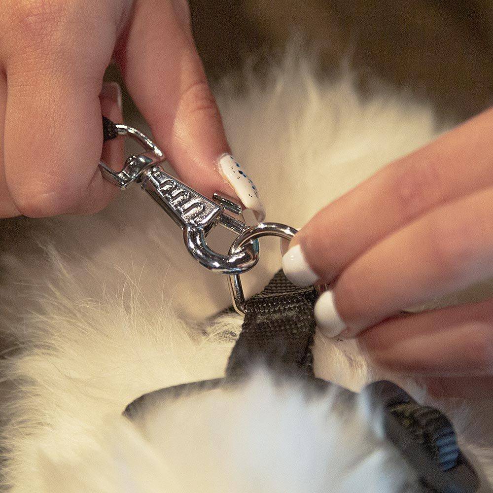 Ferplast - Sac pour Petits Animaux WITH ME PRO max 8 kg, Réseau de Protection et Poignées Réglables - Imagen 6