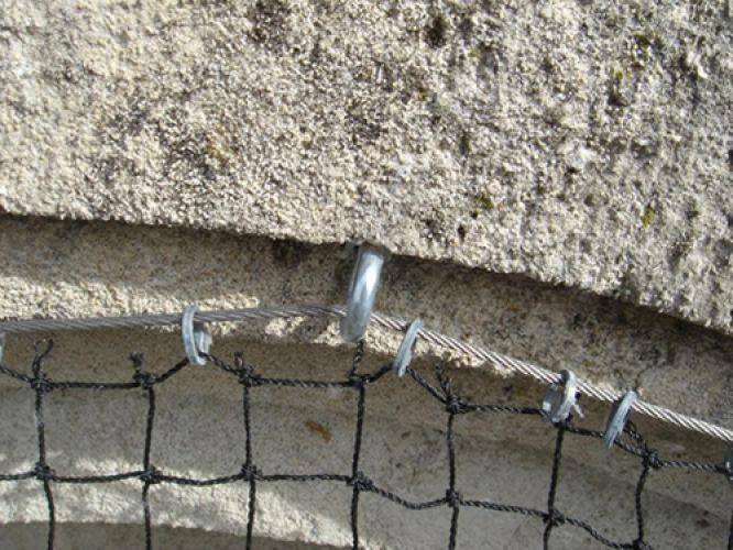 Maille Store - Filet anti-pigeons - Maille de 50mm Translucide 10m x 10m - Imagen 2