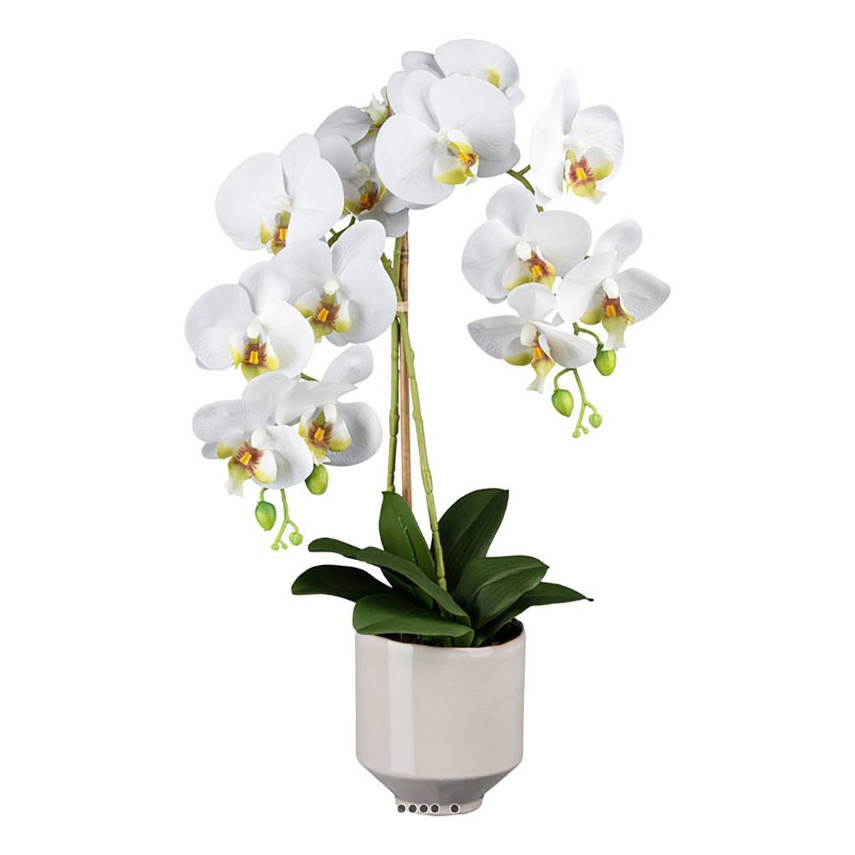 Artificielles - Orchidée phalenopsis artificielle en pot céramique H 60 cm crème - Imagen 1