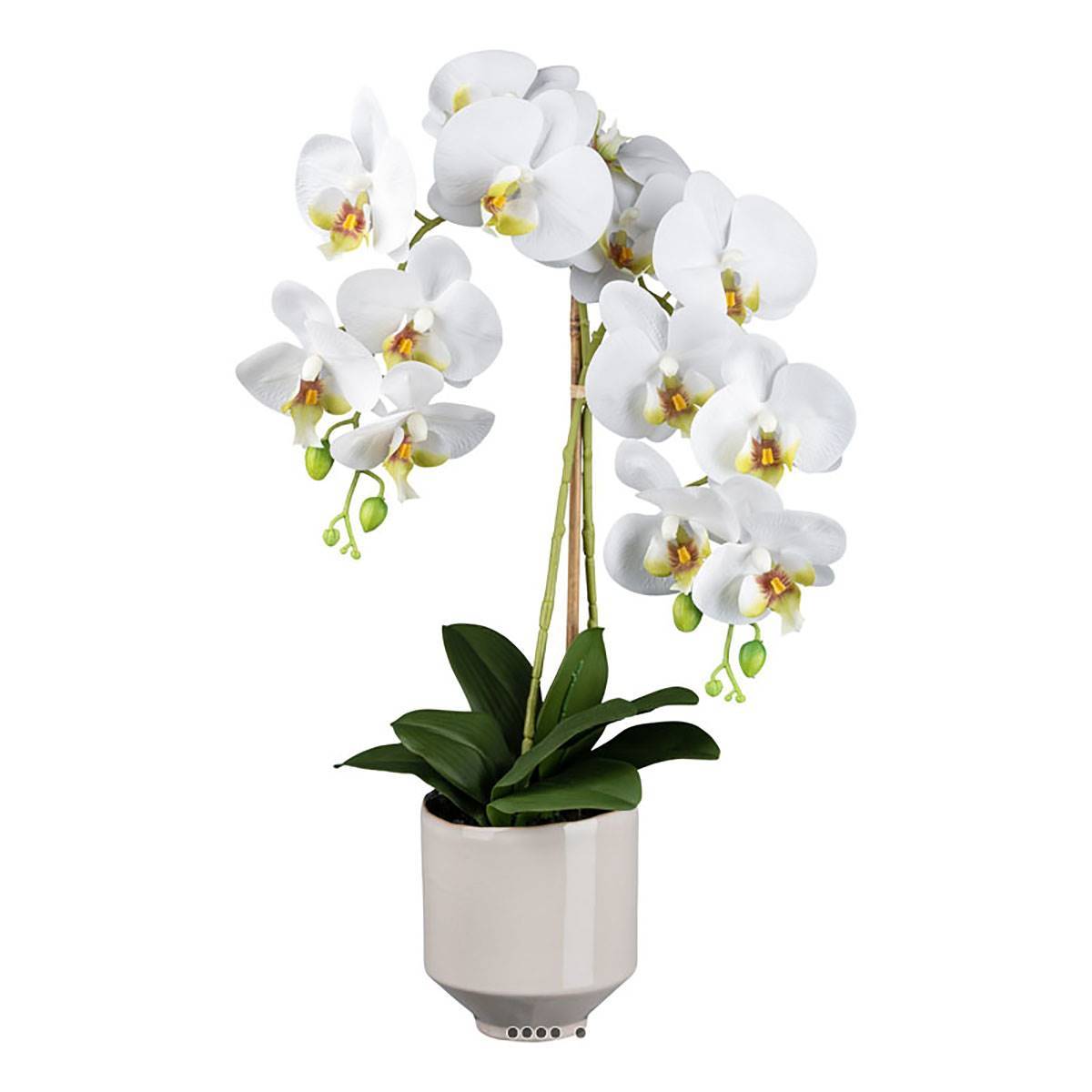 Artificielles - Orchidée phalenopsis artificielle en pot céramique H 60 cm crème - Imagen 2