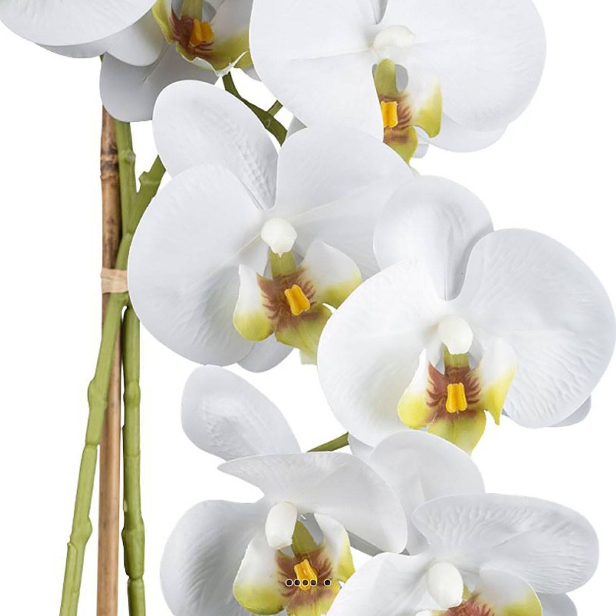 Artificielles - Orchidée phalenopsis artificielle en pot céramique H 60 cm crème - Imagen 3