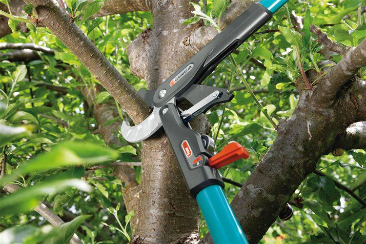 Gardena - Coupe-branches SmartCut Comfort Gardena - Imagen 4