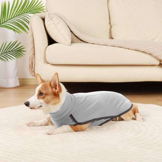 Chat Chaud Automne/Hiver Tricot Pull-Pet Chien Jumper Chaud Jumper Chiot Manteau Costume Chat Chaud Automne/Hiver Tricot Pull-Pet Chien Jumper Chaud Jumper Chiot Manteau Costume