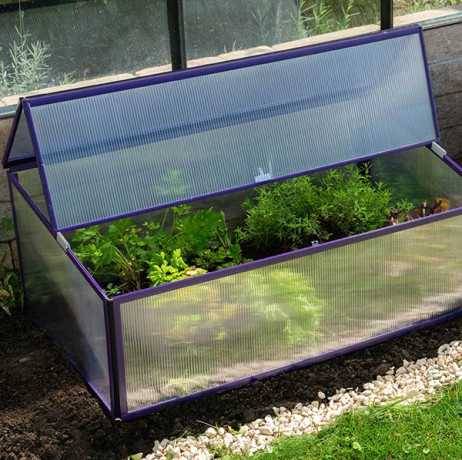 Vitavia - Mini serre Levana 1 - Structure 0.5m² en alu et polycarbonate 4 mm, Couleur Beige - Image 2